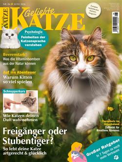 Geliebte-Katze-Abo Cover