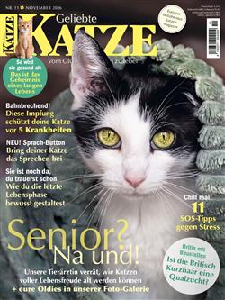 Geliebte-Katze-Abo