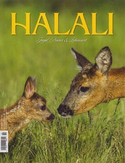 Halali-Abo Cover