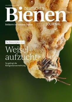 Deutsches-Bienenjournal-Abo Cover