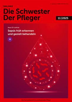 Die-Schwester-Der-Pfleger-Abo