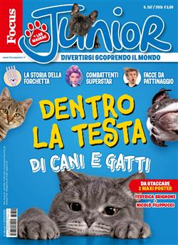 Focus-Junior-It-Abo Cover