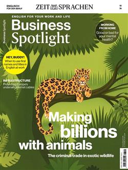 Business-Spotlight-Abo Cover
