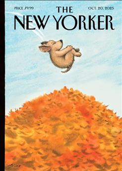New-Yorker-Abo Cover