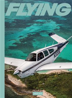 Flying-Abo Cover