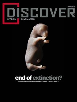 Discover-Abo Cover
