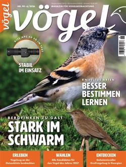 Voegel-Abo