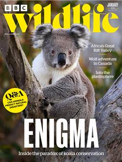 BBC-Wildlife-Abo Cover
