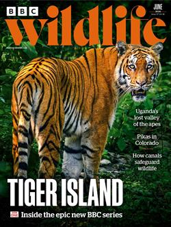 BBC-Wildlife-Abo Cover