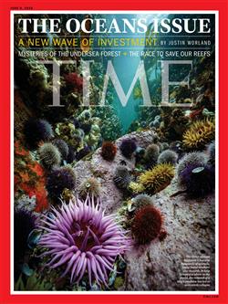Time-Magazine-Abo