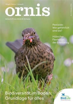 Ornis-Abo