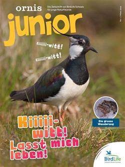 Ornis-Junior-Abo