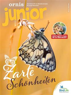 Ornis-Junior-Abo