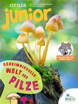 Ornis-Junior-Abo