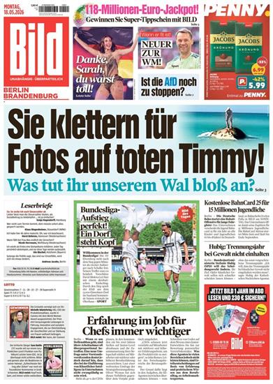Bild Berlin Brandenburg Ausgabe 2026021