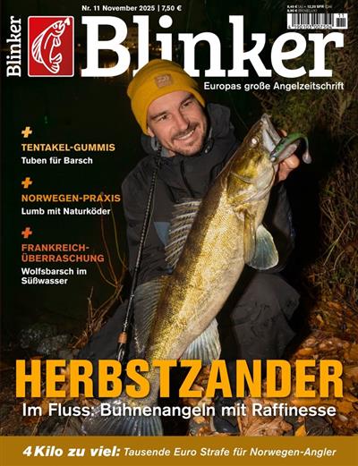 Blinker Ausgabe 2025011