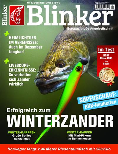 Blinker Ausgabe 2025012