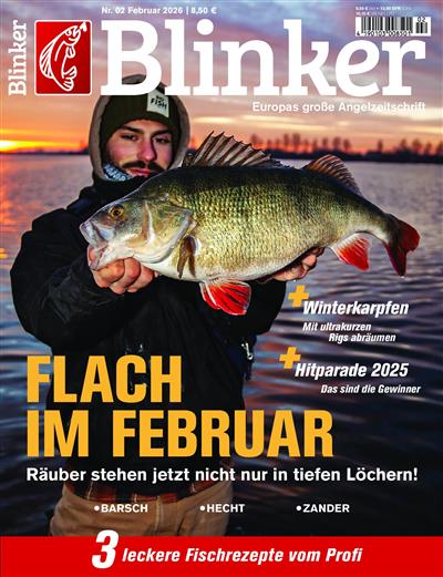 Blinker Ausgabe 2026002