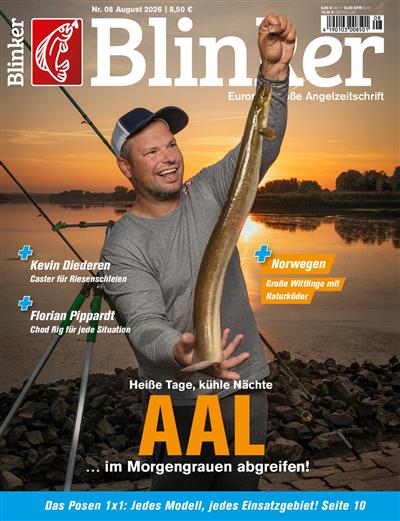 Blinker Ausgabe 2026008