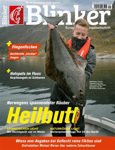 Blinker Ausgabe 2026009