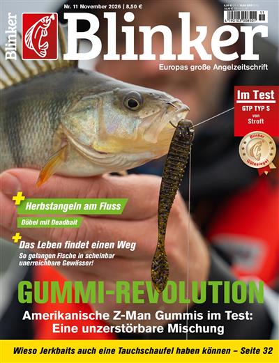 Blinker Ausgabe 2026011