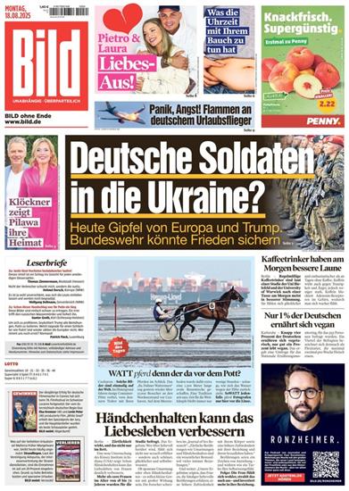 BILD Ausgabe 2025034