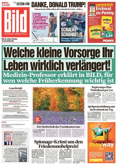 BILD Ausgabe 2025042