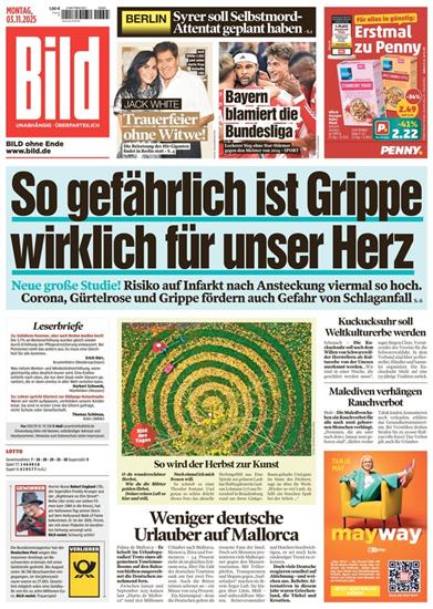 BILD Ausgabe 2025045