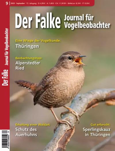 Falke Ausgabe 2025009
