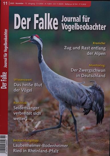 Falke Ausgabe 2025011