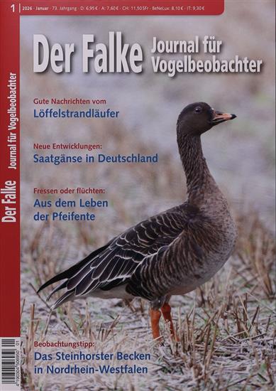 Falke Ausgabe 2026001