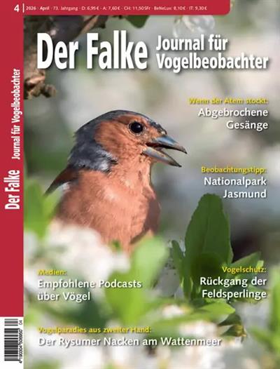 Falke Ausgabe 2026004