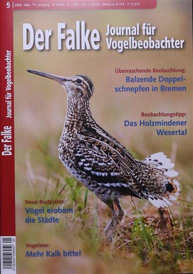 Falke Ausgabe 2026005