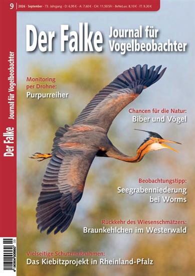 Falke Ausgabe 2026010