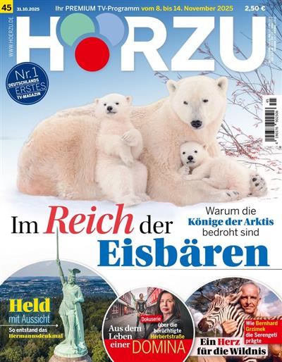 HörZu Ausgabe 2025045