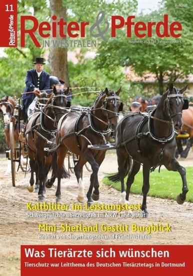 Reiter & Pferde in Westfalen Ausgabe 2025011