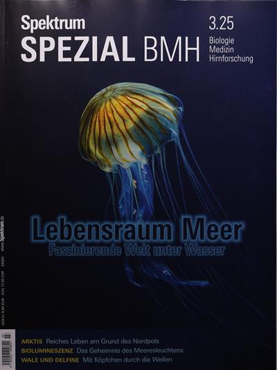 Spektrum Spezial Biologie Medizin Hirnforschung Ausgabe 2025003