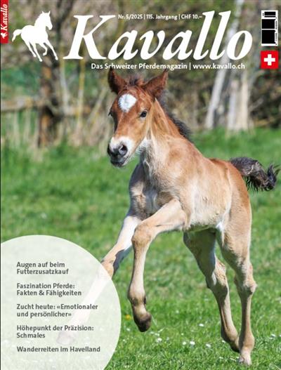 Kavallo Ausgabe 2025005