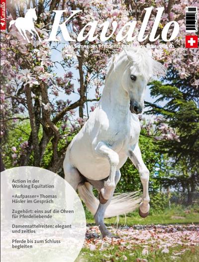 Kavallo Ausgabe 2025007