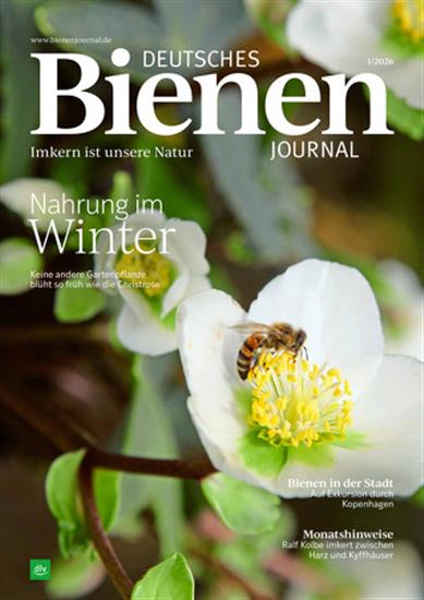 Deutsches Bienenjournal Ausgabe 2026001