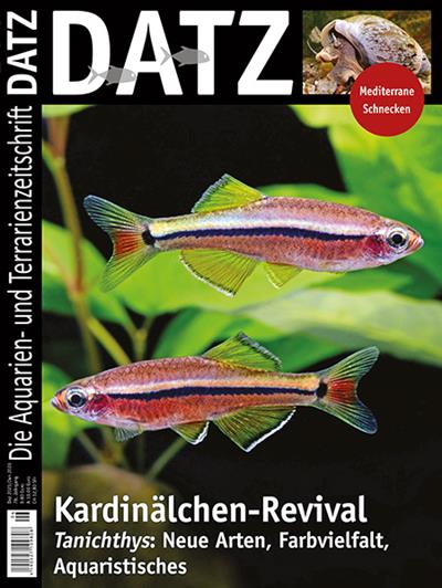 Datz Ausgabe 2025006