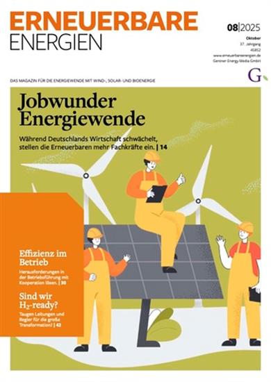Erneuerbare Energien Ausgabe 2025008