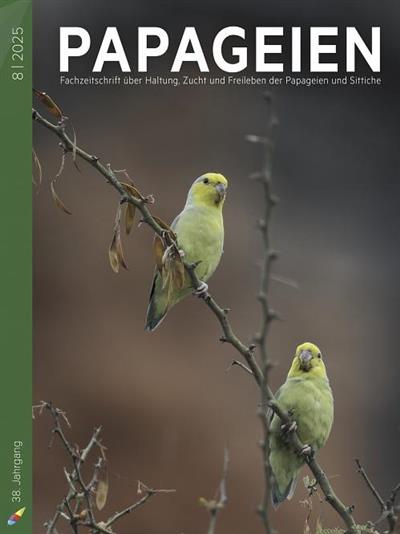 PAPAGEIEN Ausgabe 2025008