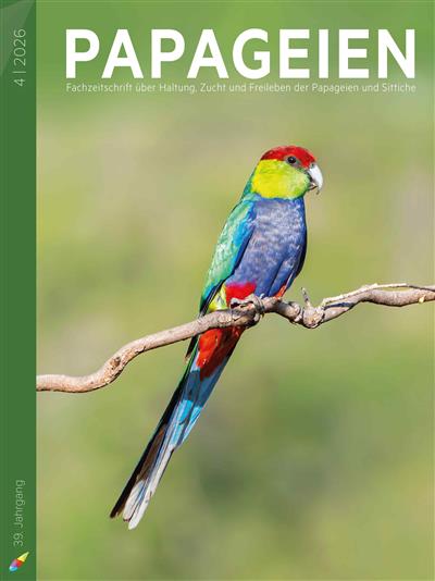 PAPAGEIEN Ausgabe 2026004