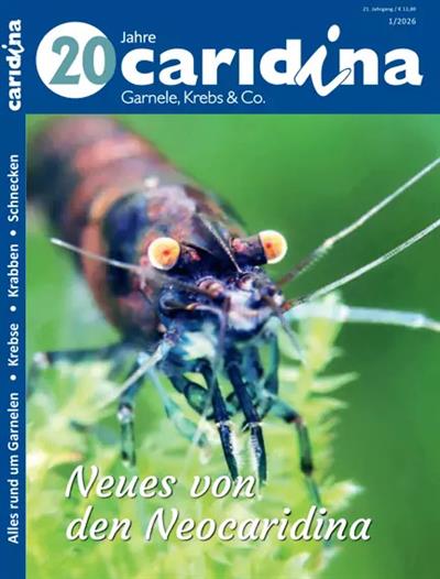 Caridina Ausgabe 2026001