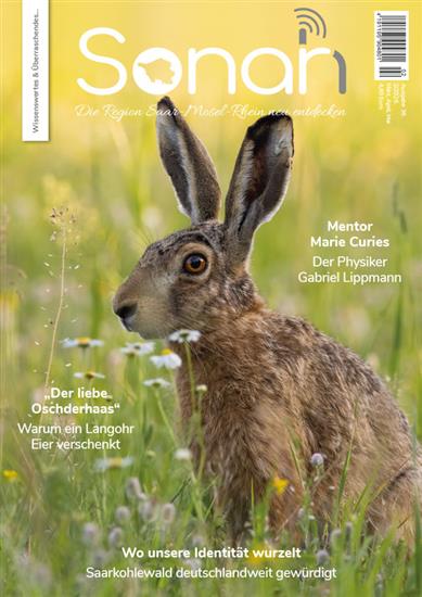 Sonah Ausgabe 2026002