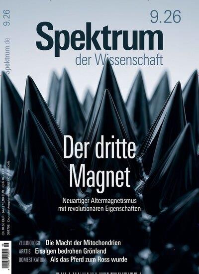 Spektrum der Wissenschaft Ausgabe 2026009