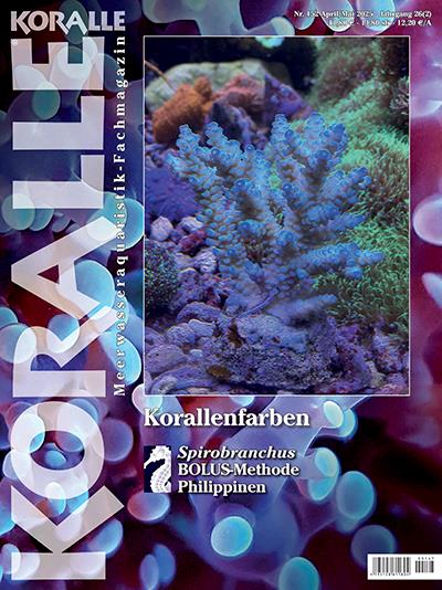 Koralle Ausgabe 2025152