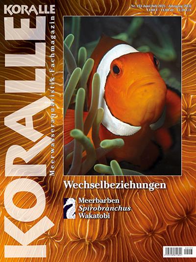 Koralle Ausgabe 2025153
