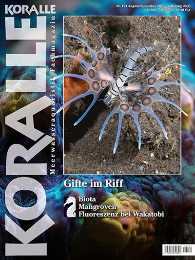 Koralle Ausgabe 2025154